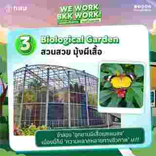 BKK EXPO 2025 ไฮไลต์งาน