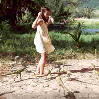 Compsognathus ไดโนเสาร์ จากหนัง the lost world jurassic park