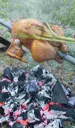 ย่างไก่