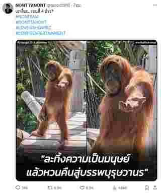 คอนเสิร์ต นนท์ ธนนท์