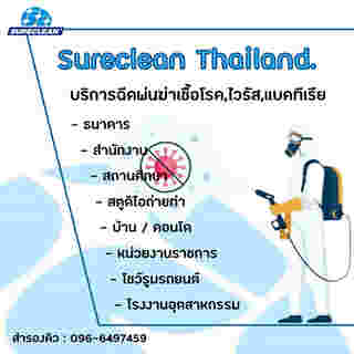 Sureclean Thailand