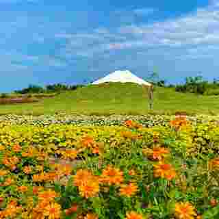 Tokyo Farm สวนดอกไม้เขาใหญ่