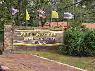 หาดในยาง ภูเก็ต 