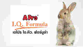 อาหารกระต่าย APro I.Q. Formula
