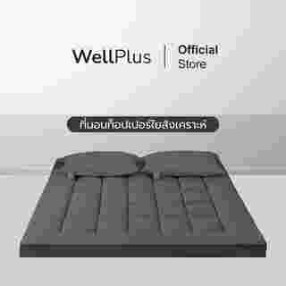 Topper หนา 4 นิ้ว Wellplus