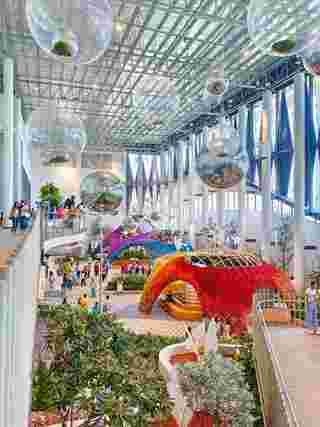 นิทรรศการพรรณไม้ Wondrous Bloom  