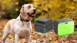 Pet Tracker Whistle Health & GPS