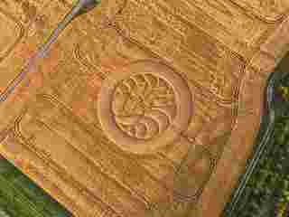 Crop Circles