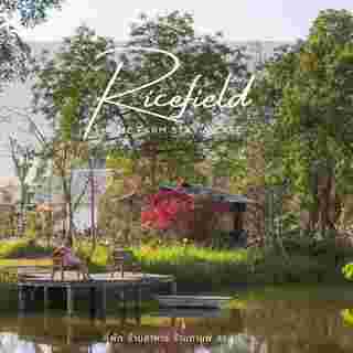 Rice Field Home Farm Stay & Cafe