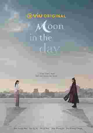 Moon in the Day  