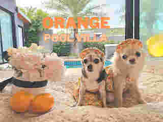 Orange Pool Villa 