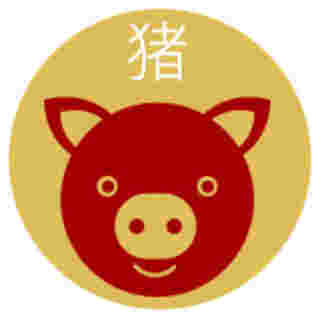 ดูดวง