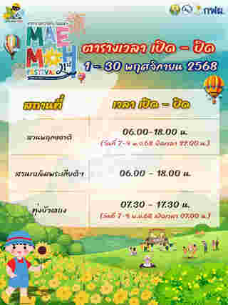 ทุ่งดอกบัวตอง เทศกาลท่องเที่ยวแม่เมาะ