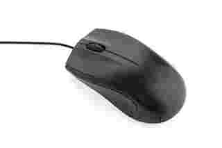 เมาส์ (Mouse)