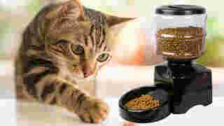 เครื่องให้อาหารแมวอัตโนมัติ