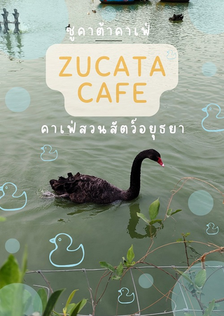Zucata Cafe 