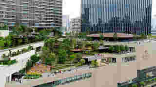 Central Park