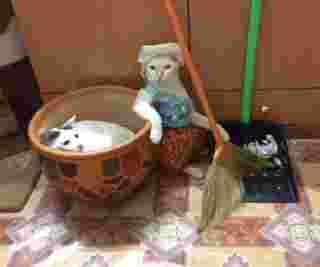 ทำงานบ้าน