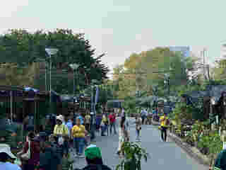 ร้ายขายต้นไม้ใหญ่ ตลาดต้นไม้สนามหลวง 2