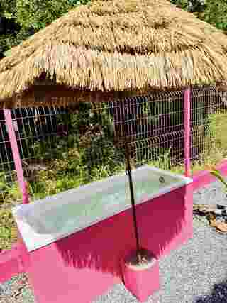 บ้านในสวน