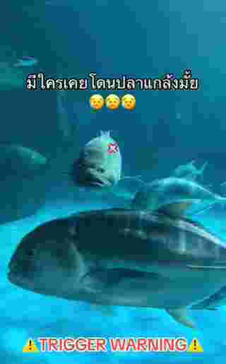 อควาเรียม