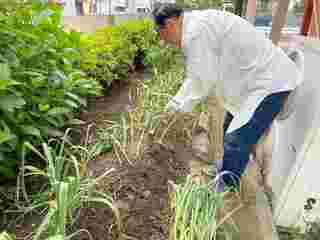 กะเพราหมูสามชั้นไข่ดาว