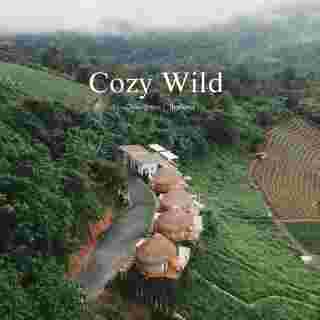Cozy Wild