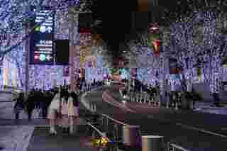 งานไฟ Tokyo illumination  2024