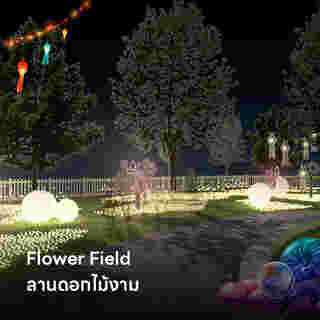 Flower Field (ลานดอกไม้งาม)