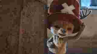 โทนี่ โทนี่ ช็อปเปอร์ หมอประจำเรือ One Piece 2