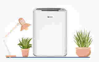 เครื่องลดความชื้น Bwell รุ่น BDH-12A