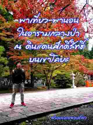 เที่ยวภูเขาโคยะ
