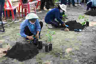 สาธิตปลูกต้นกล้า