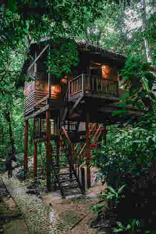 Our Jungle House 