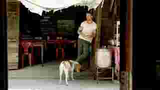 ฉากแอ็คชั่นจาก Only God Forgives ที่ถ่ายทำในไทย