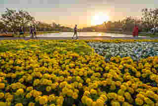 งานสวนหลวง ร.9 2566 ดอกไม้