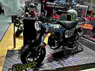 honda dax125