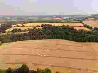 Crop Circles