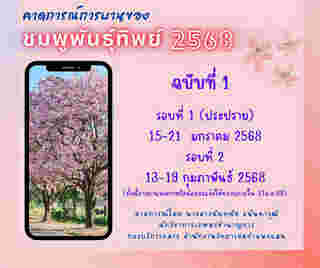 คาดการณ์การบานของดอกชมพูพันธุ์ทิพย์ ม.เกษตรฯ กำแพงแสน ปี 2568 ฉบับที่ 1