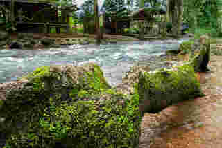 คลองมะเดื่อ นครนายก