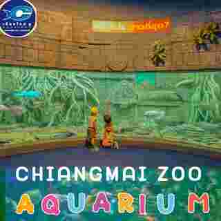 Aquarium สวนสัตว์เชียงใหม่ 