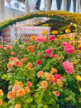 นิทรรศการพรรณไม้ Wondrous Bloom 