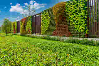 ไอเดียรั้วต้นไม้ Green Plant Wall