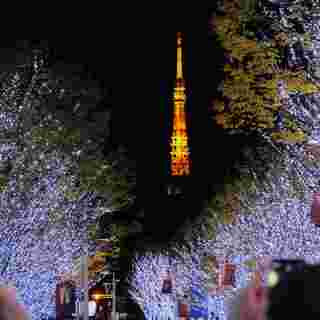 งานไฟ Tokyo illumination  2024