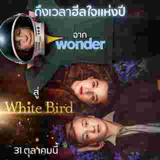 หนังฮีลใจ White Bird หัวใจมหัศจรรย์