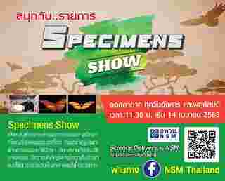 Specimens Show