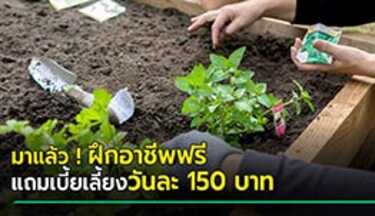 มาตรการเยียวยา