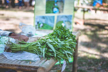 งานสังคมสุขใจ สามพราน
