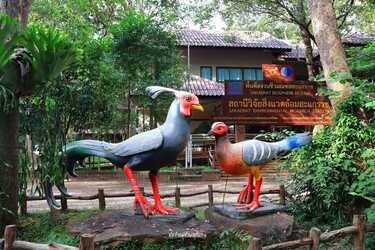 เที่ยวโคราช