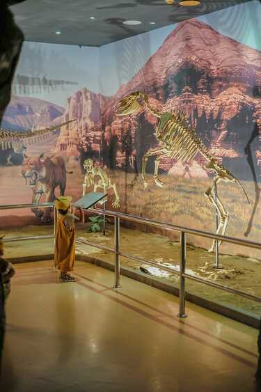 พิพิธภัณฑสถานแห่งชาติธรณีวิทยาเฉลิมพระเกียรติ
